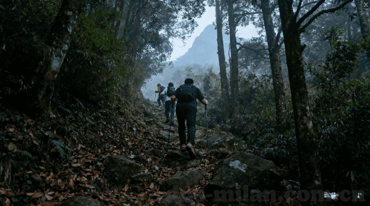 开云体育提款到账快0-支付方式变革中的惊喜，开云体育提款到账快0的体验